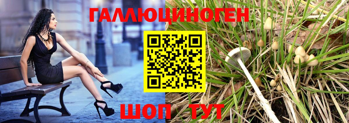 Галлюциногенные грибы мицелий Юрга